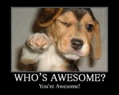 whos-awesome